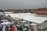 Panoramica-fiera (3)