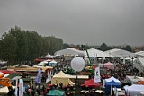 Panoramica-fiera (7)