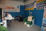 Stand Domenica (114)